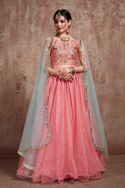 Peach nett lehenga choli