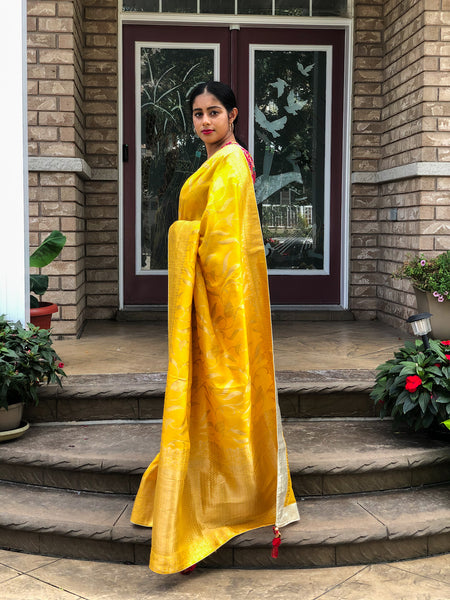 Mustered jude silk Saree
